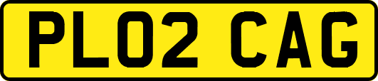 PL02CAG