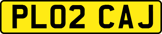 PL02CAJ