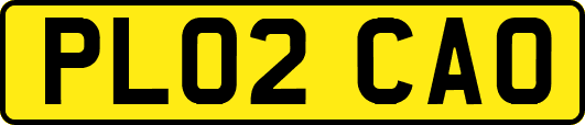 PL02CAO