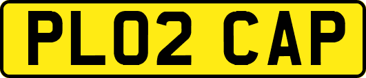 PL02CAP