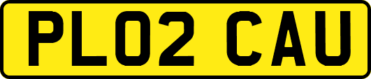 PL02CAU