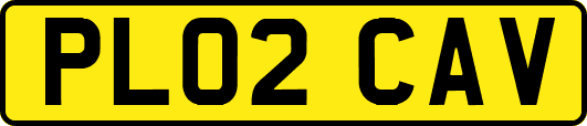 PL02CAV