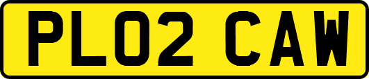 PL02CAW