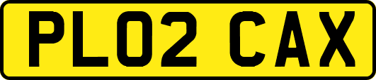 PL02CAX