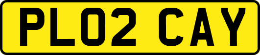 PL02CAY