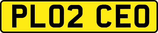 PL02CEO