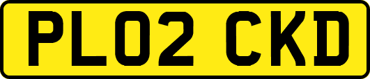 PL02CKD