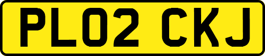 PL02CKJ