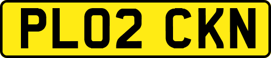 PL02CKN