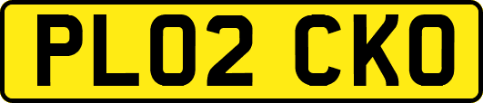 PL02CKO