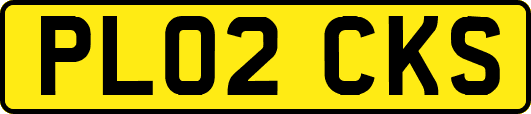 PL02CKS