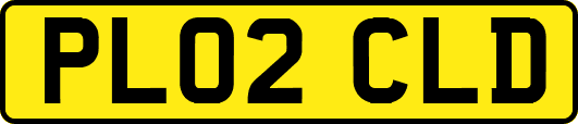 PL02CLD