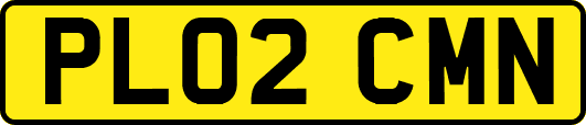 PL02CMN