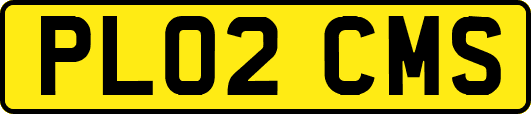 PL02CMS