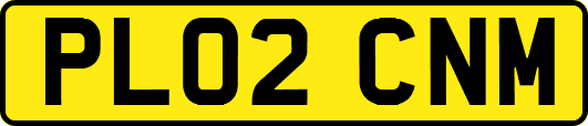 PL02CNM