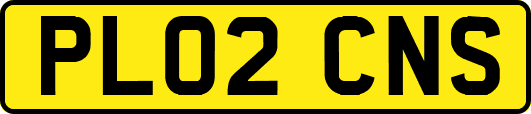 PL02CNS
