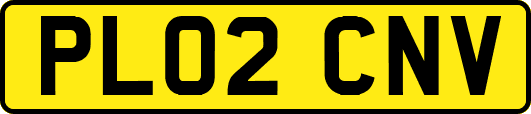 PL02CNV