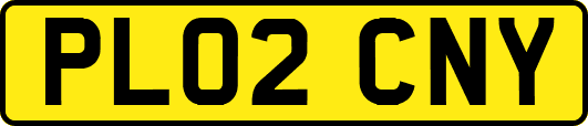 PL02CNY