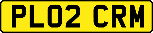 PL02CRM
