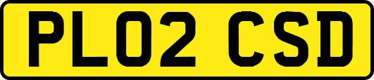 PL02CSD