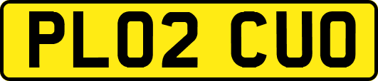 PL02CUO