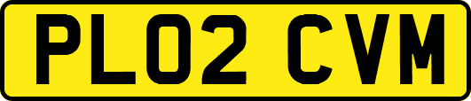 PL02CVM