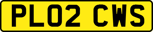 PL02CWS