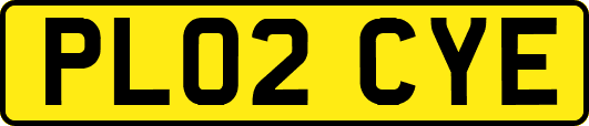 PL02CYE