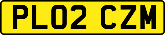 PL02CZM