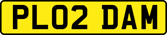 PL02DAM