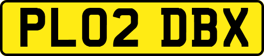 PL02DBX
