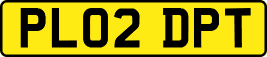 PL02DPT
