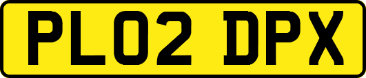 PL02DPX