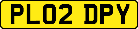 PL02DPY