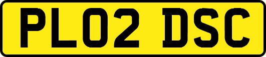 PL02DSC