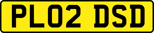 PL02DSD
