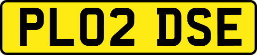 PL02DSE