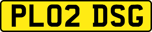 PL02DSG