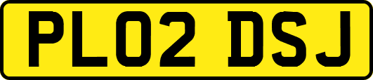 PL02DSJ