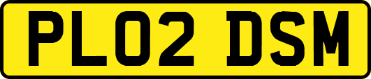 PL02DSM