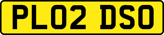 PL02DSO