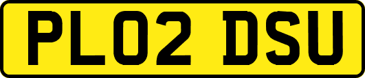 PL02DSU
