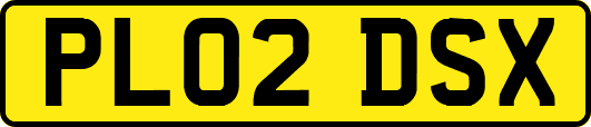 PL02DSX