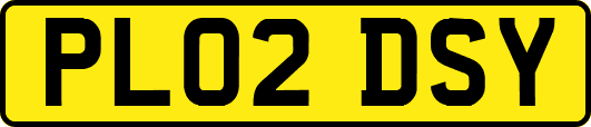PL02DSY