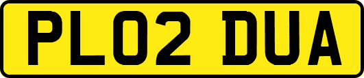 PL02DUA
