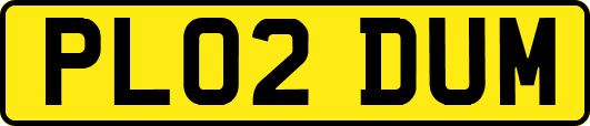 PL02DUM