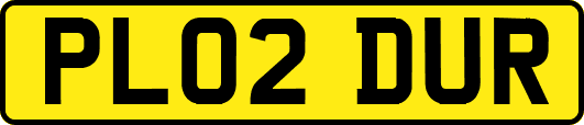 PL02DUR