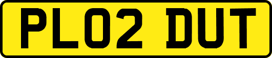 PL02DUT