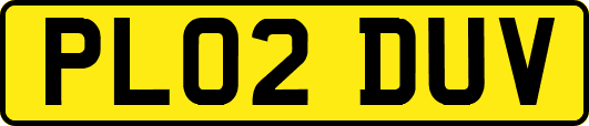 PL02DUV