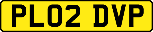 PL02DVP